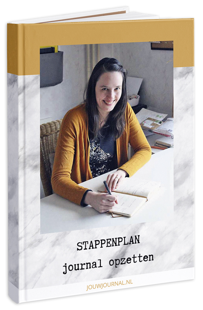 Mock-up samenvatting stappenplan journal opzetten