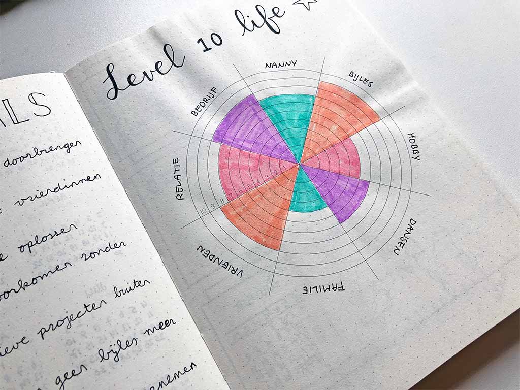 Pagina in notitieboek Mijn Bullet Journal van level 10 life