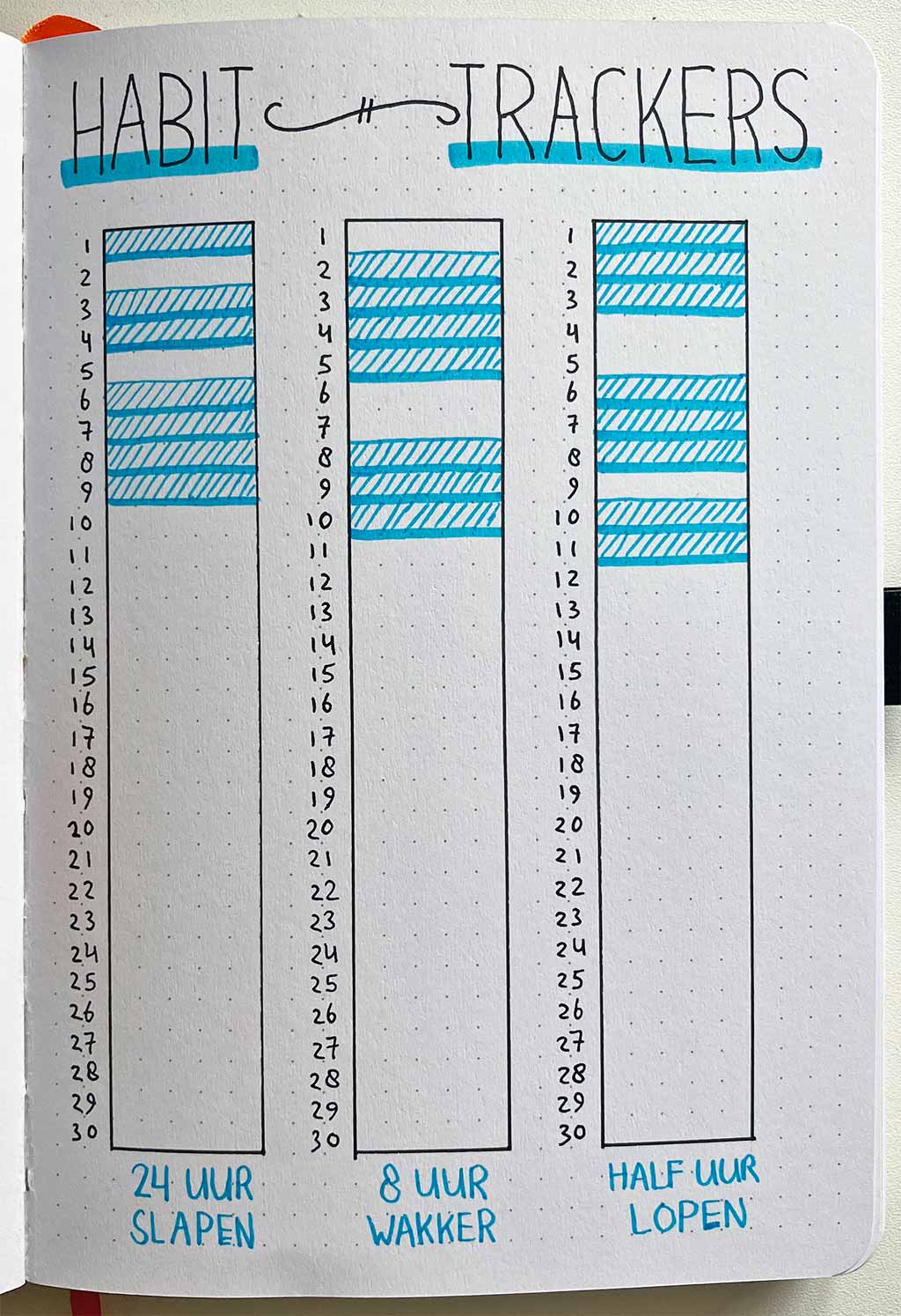 Habit tracker staven